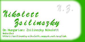 nikolett zsilinszky business card